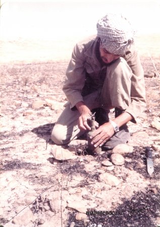 محمد علی ظهوریان