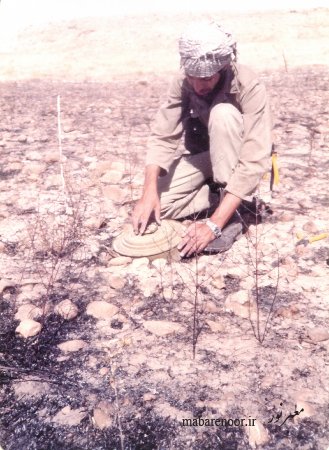 محمد علی ظهوریان