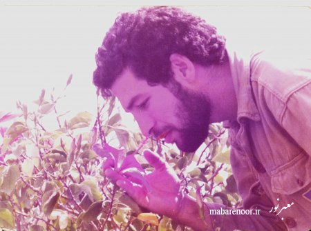 محمد علی ظهوریان